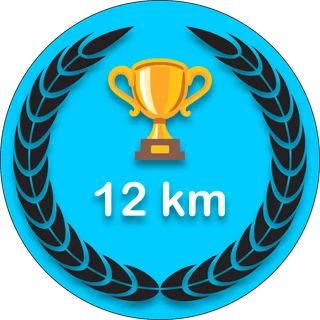 12 km