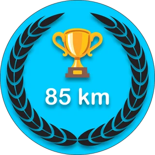 85 km